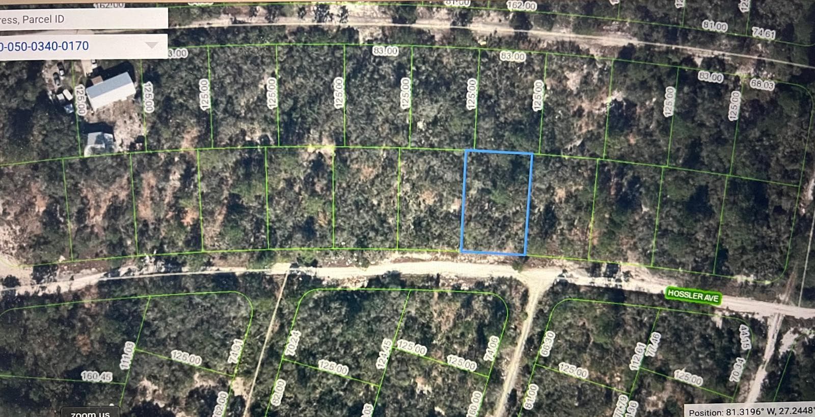 328 Hossler Avenue, Lake Placid, FL 33852 — photo 8 of 9