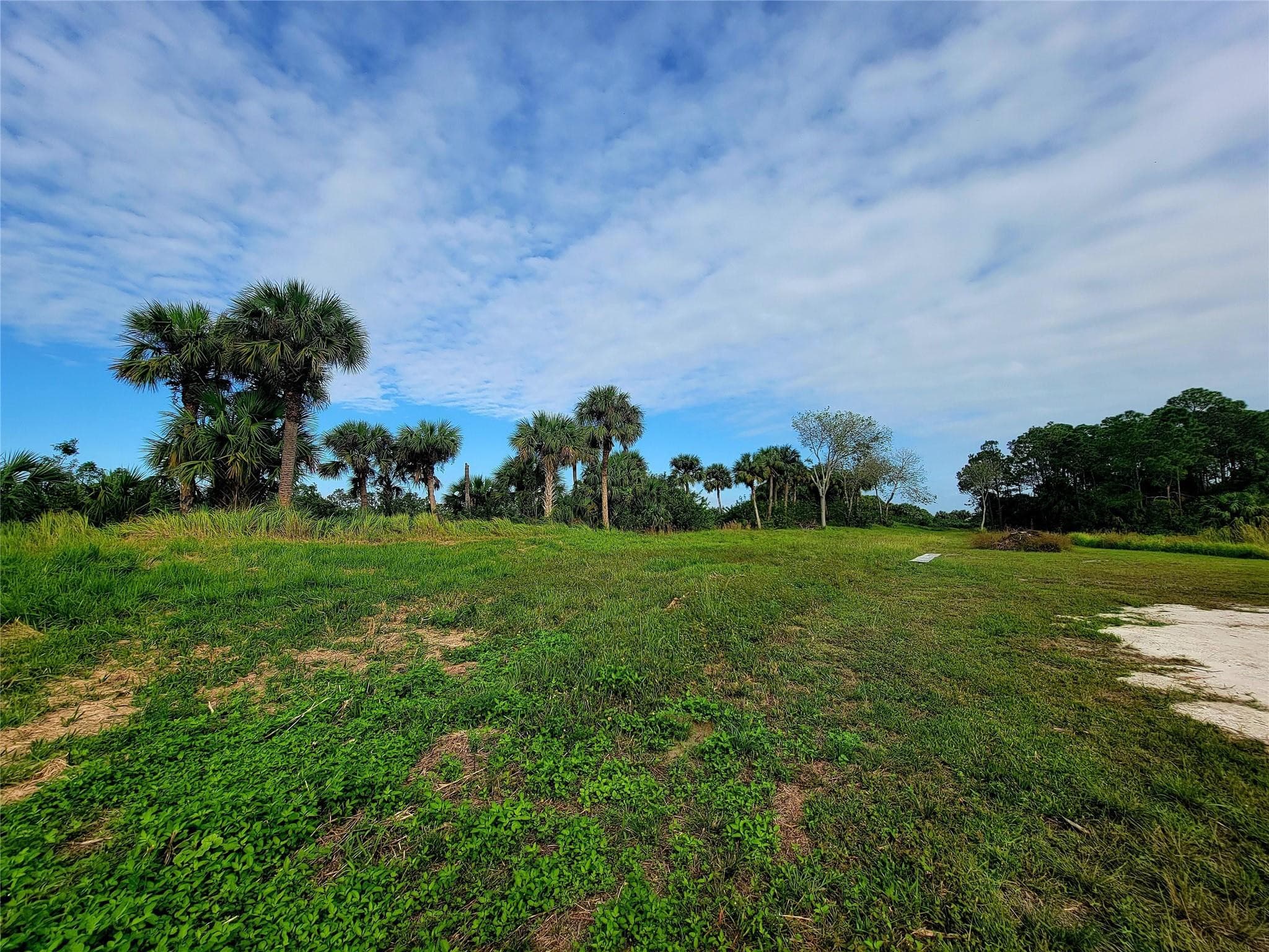 15350 93rd Street, Fellsmere, FL 32948 — photo 11 of 22