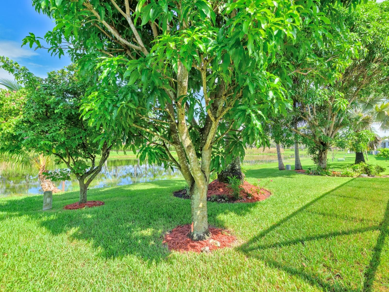 4032 Pinewood Lane, Weston, FL 33331 — photo 51 of 63