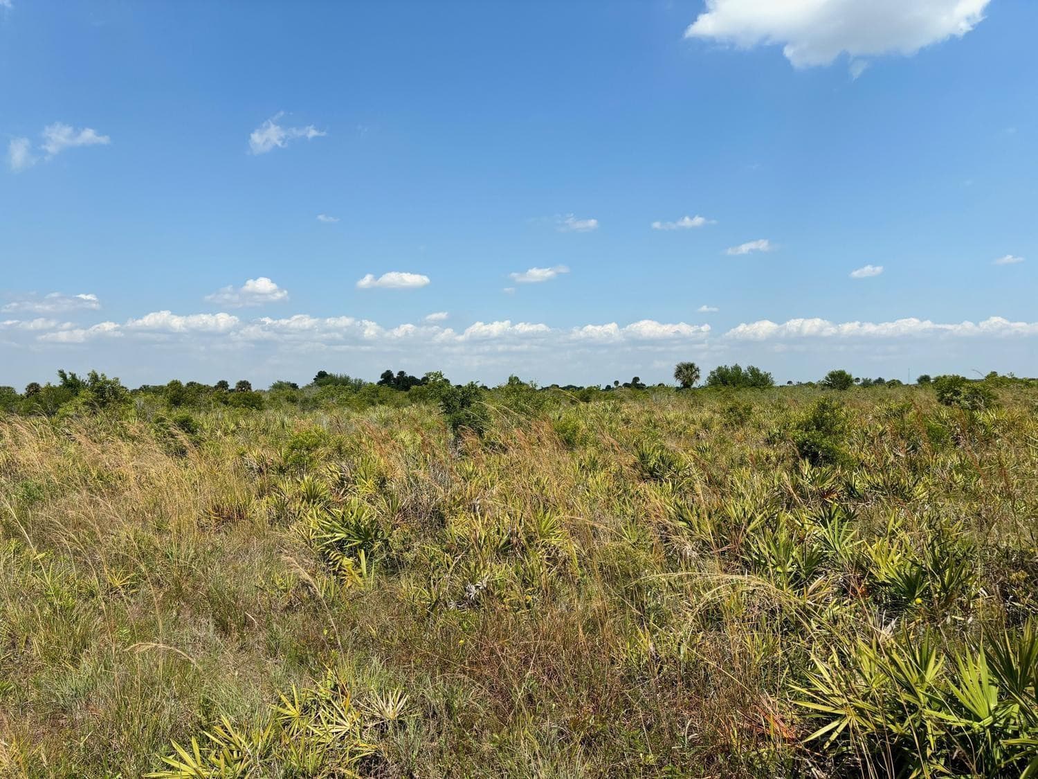 0 NW 318th Street, Okeechobee, FL 34972 — photo 1 of 2