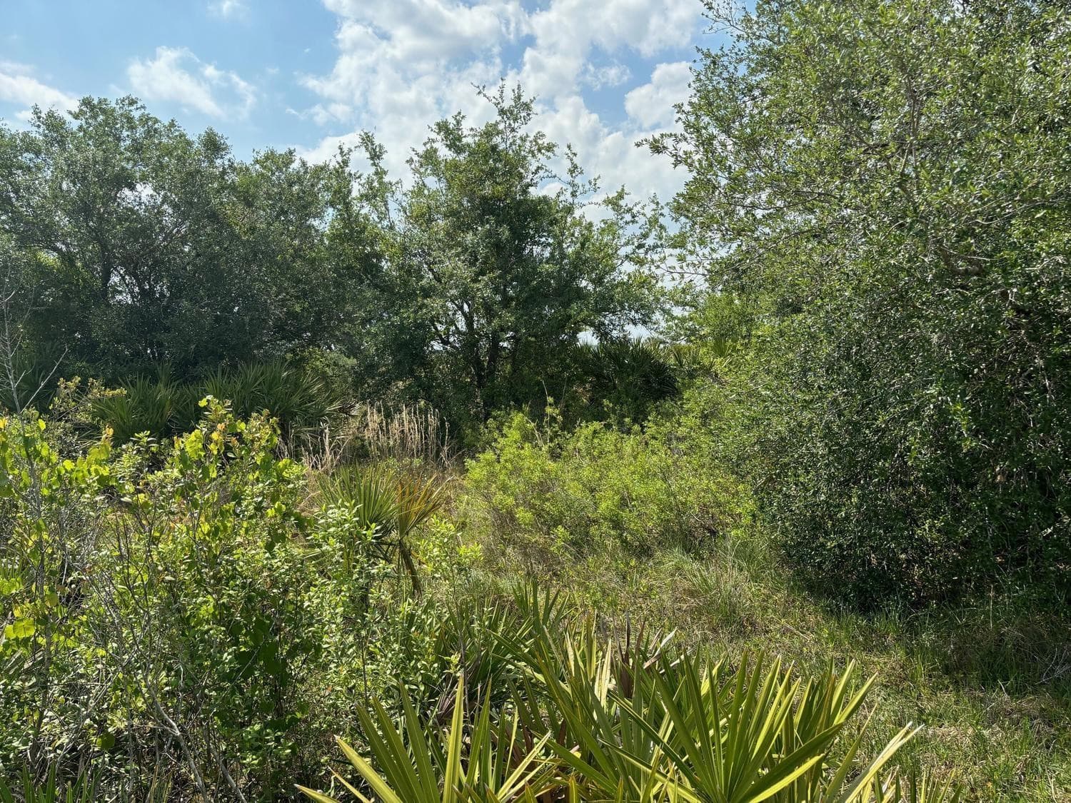 0 NW 318th Street, Okeechobee, FL 34972 — photo 3 of 4