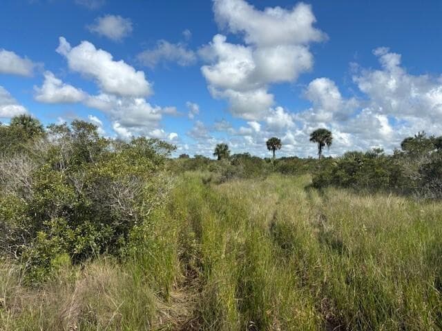 0 NW 310th Street, Okeechobee, FL 34972 — photo 1 of 2