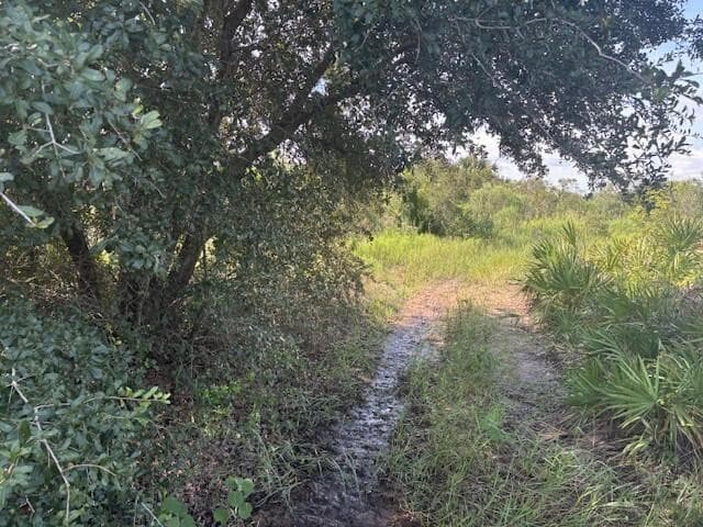 0 NW 310th Street, Okeechobee, FL 34972 — photo 2 of 3