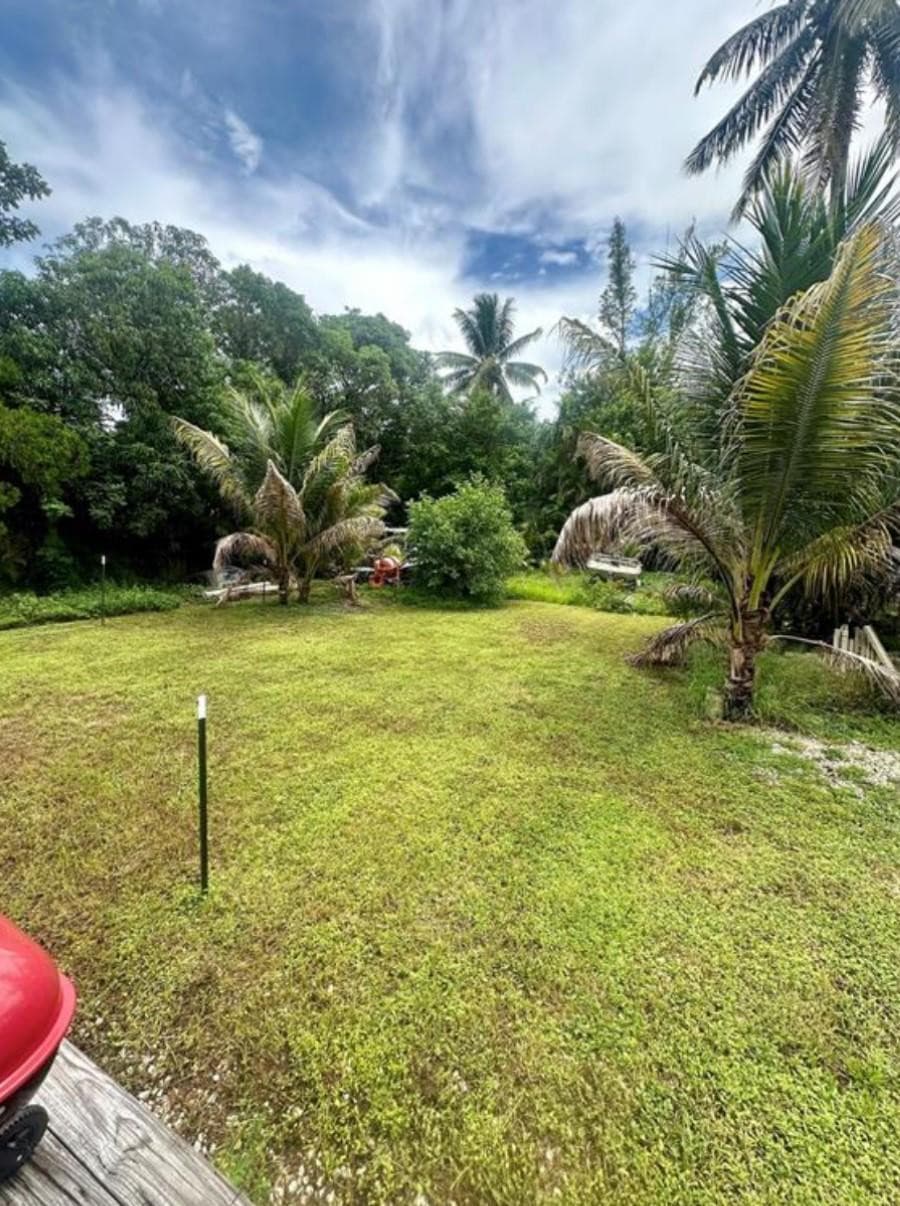 2520 Fillmore Street, Hollywood, FL 33020 — photo 15 of 15