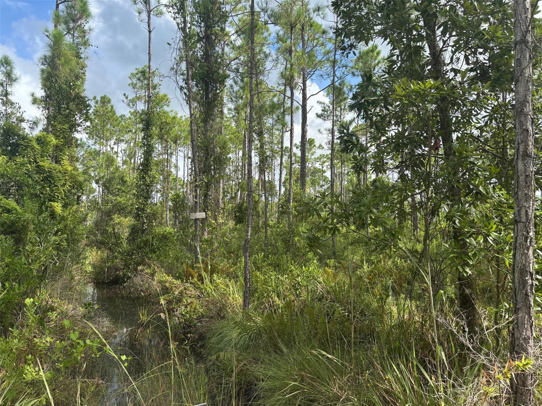 0 Co Road, Lake Wales, FL 33898 — photo