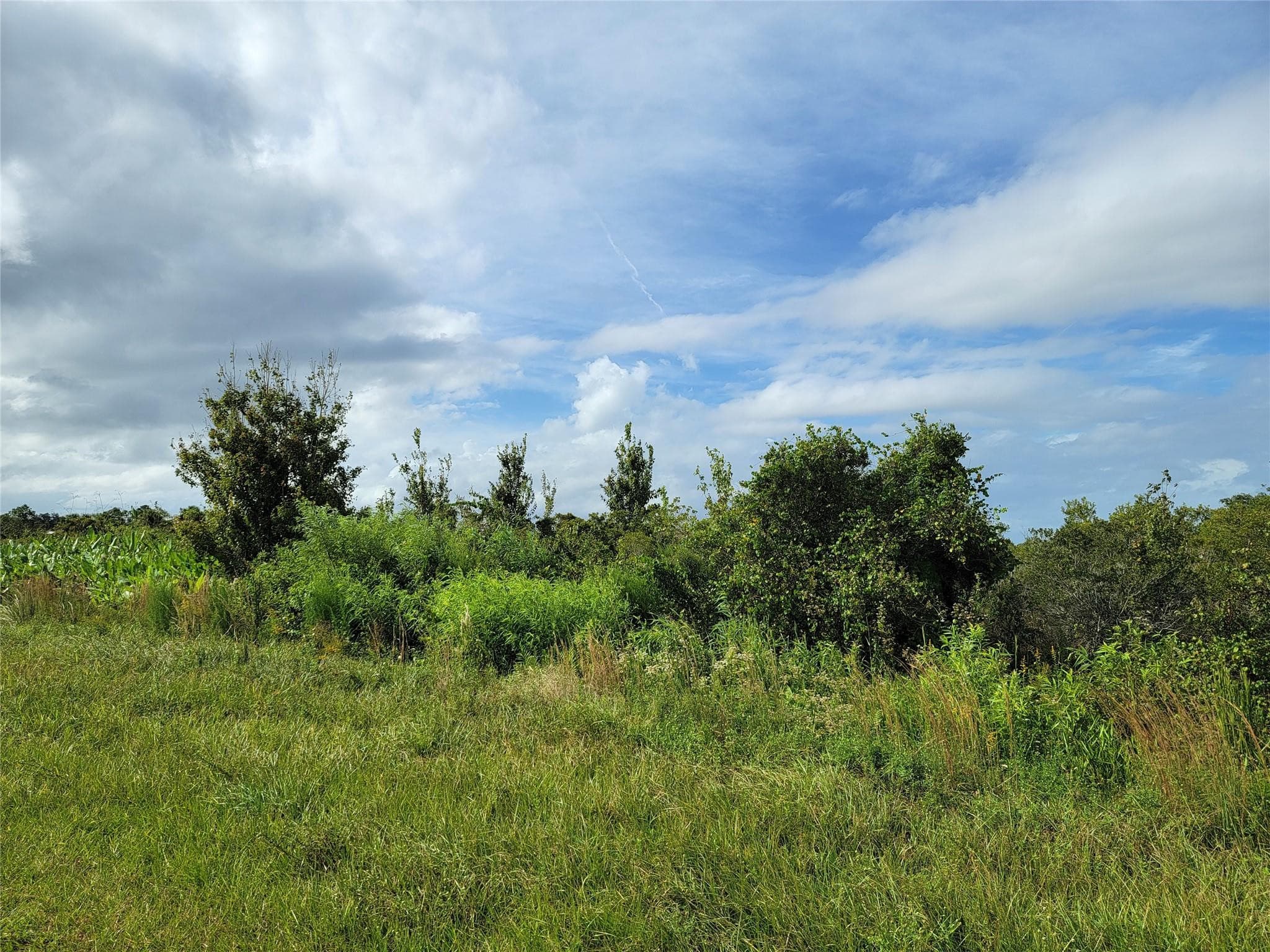17275 NW 260th Street, Okeechobee, FL 34972 — photo 2 of 3