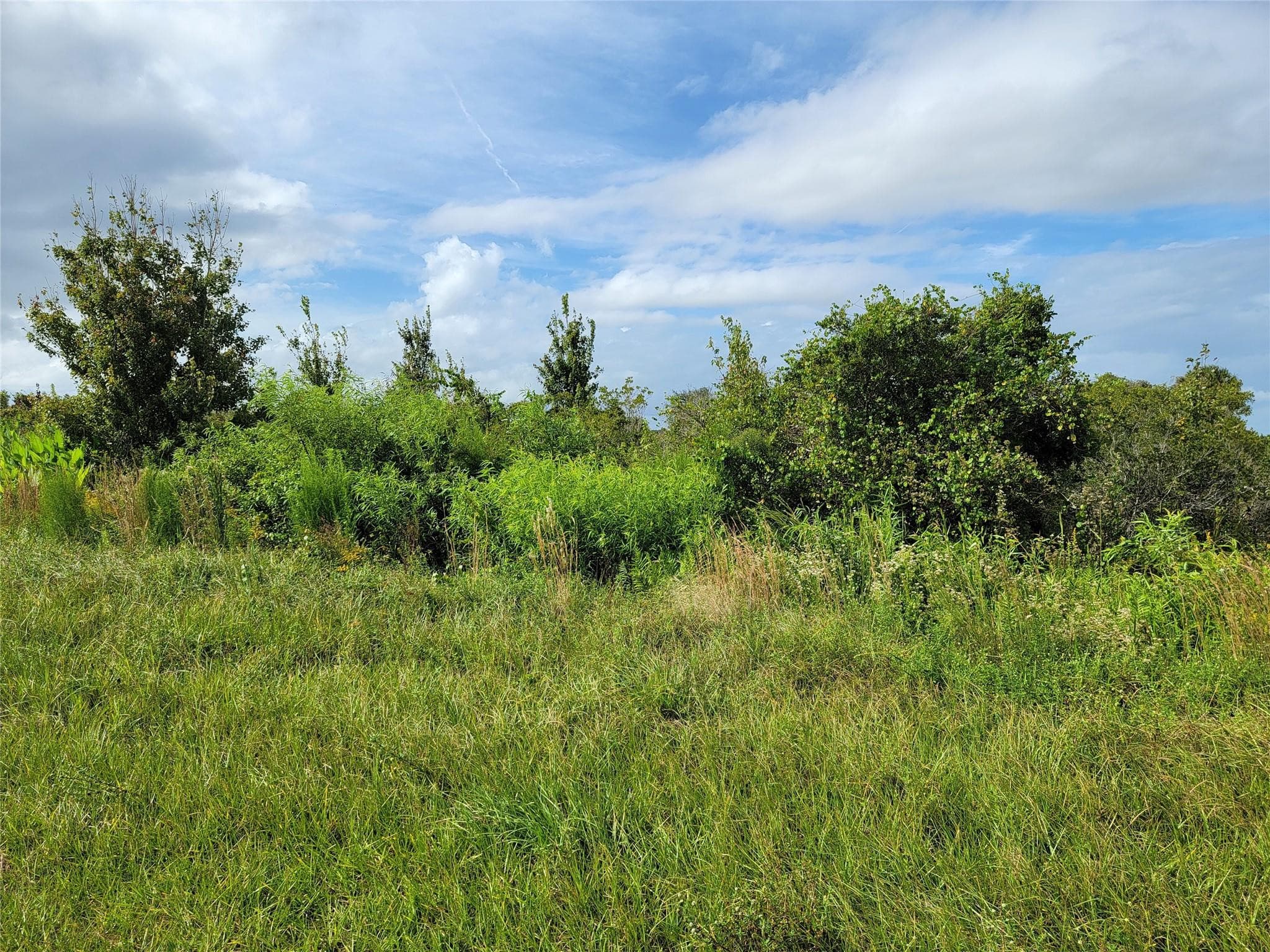 17275 NW 260th Street, Okeechobee, FL 34972 — photo 3 of 3