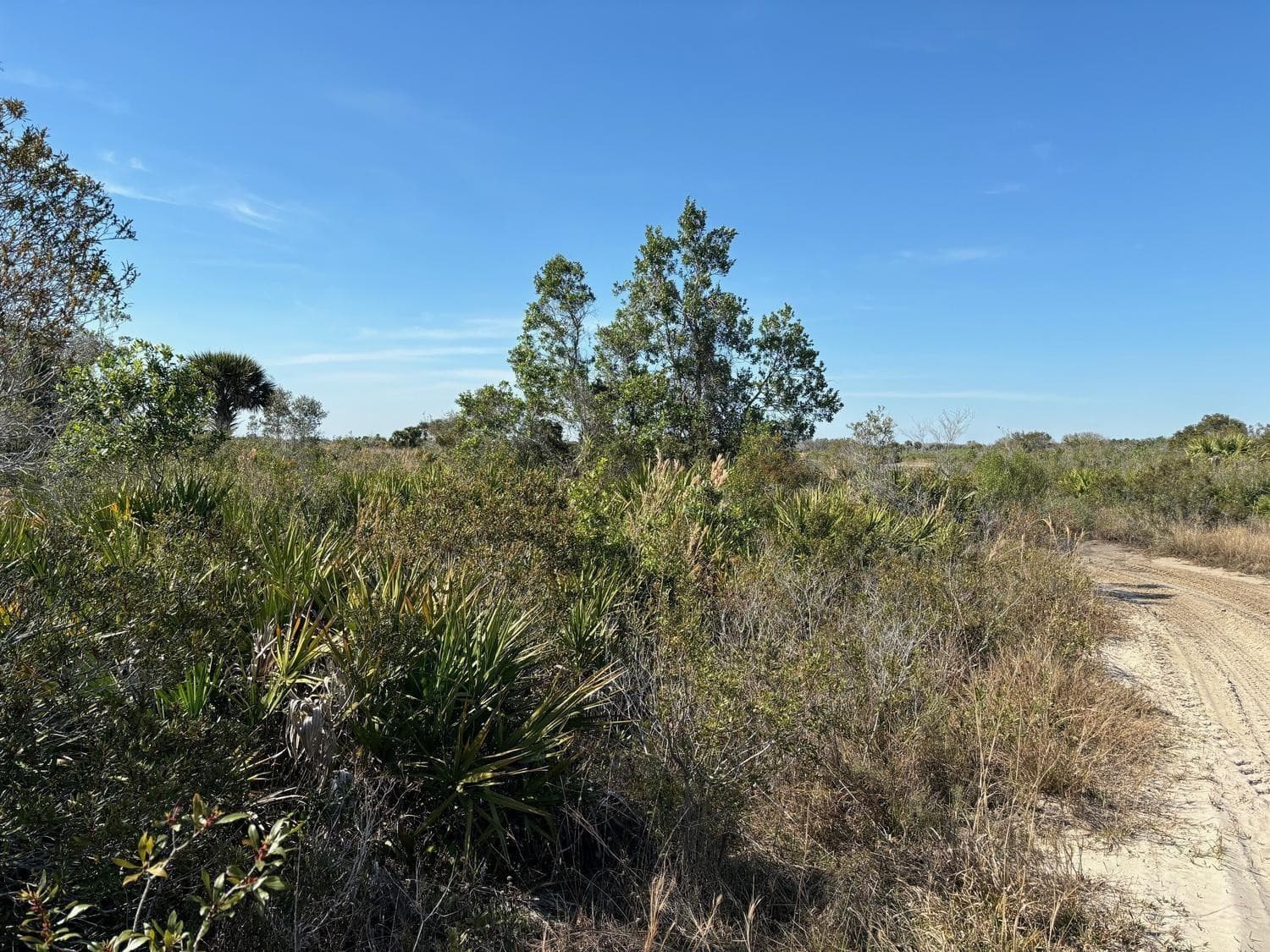 0 NW 308th Street, Okeechobee, FL 34972 — photo 2 of 3