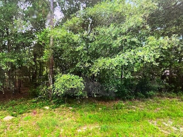 9550 N Quarry Drive, Citrus Springs, FL 34434 — photo 2 of 4
