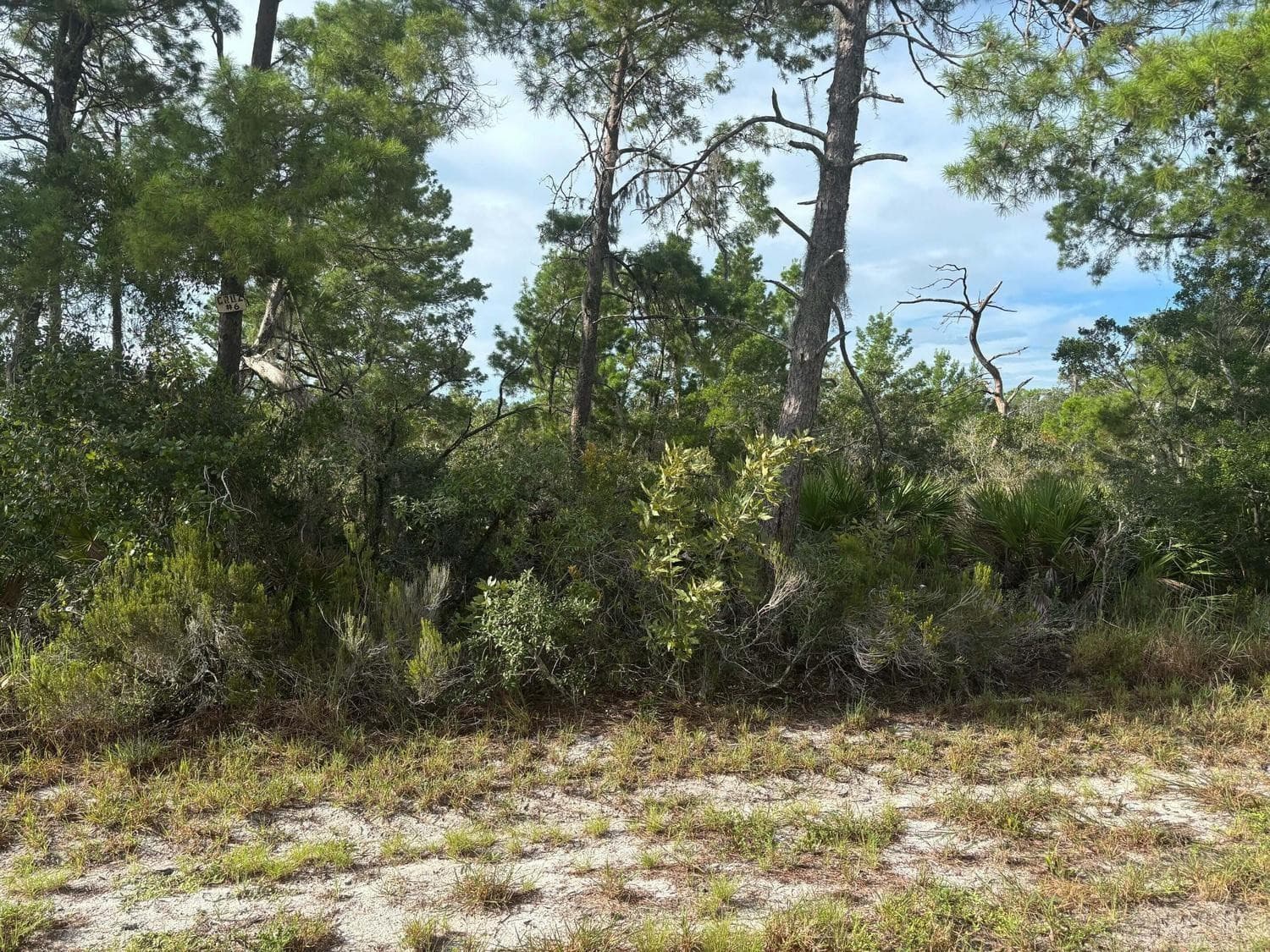 635 Boylston Street, Lake Placid, FL 33852 — photo