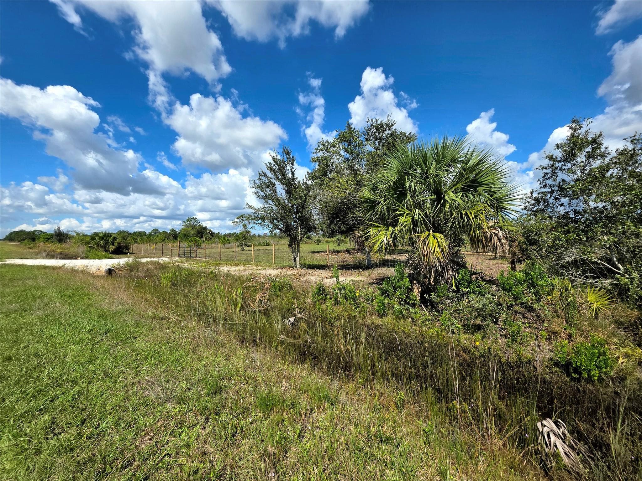 17019 NW 296th Street, Okeechobee, FL 34972 — photo 3 of 8