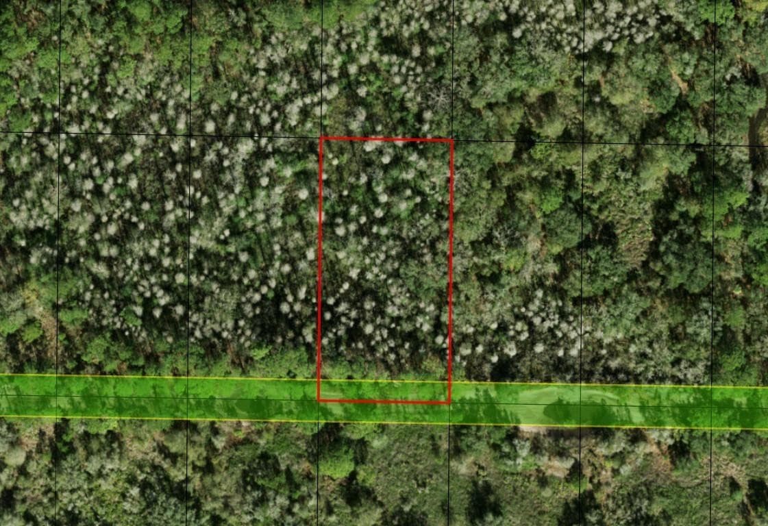 0 County Rd 54, Kathleen, FL 33849 — photo 2 of 2