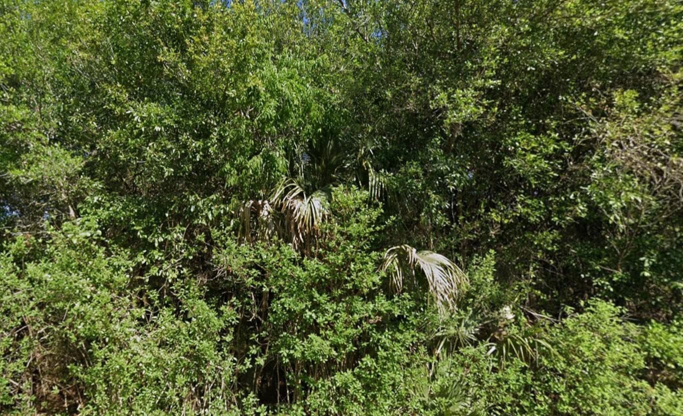 4702 Vera Avenue, Lehigh Acres, FL 33971 — photo 4 of 7