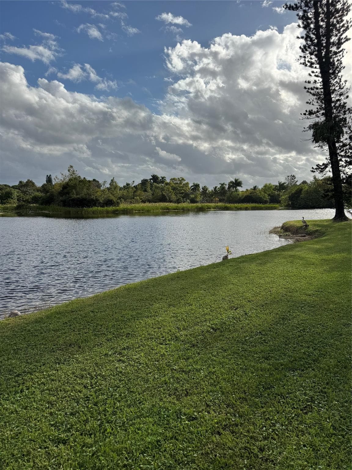 936 W Tropical Way, Plantation, FL 33317 — photo 38 of 40