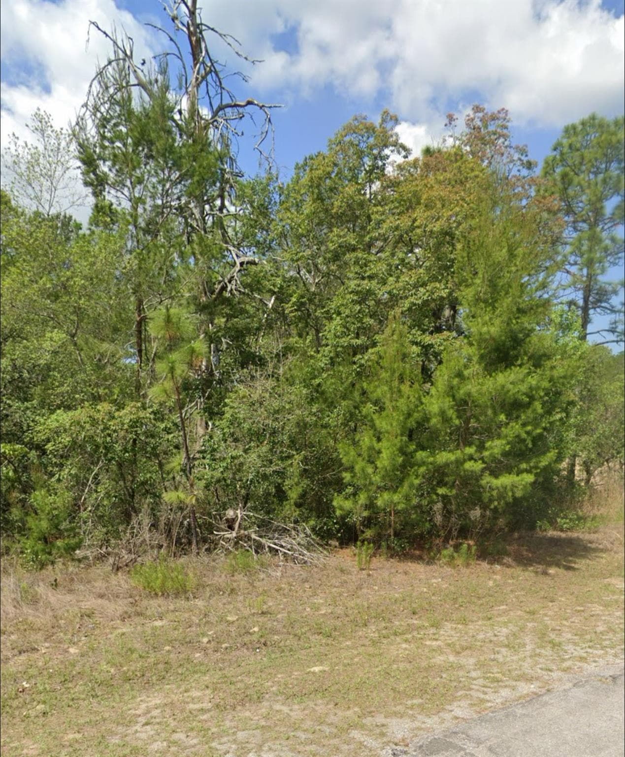 3808 W Indian Rock Place, Citrus Springs, FL 34433 — photo 3 of 3