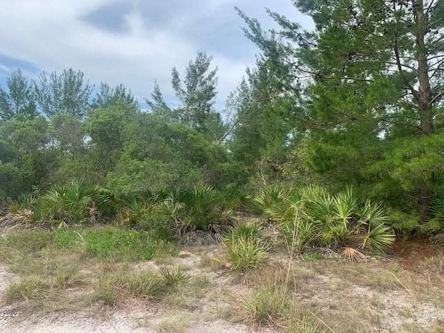 0 Holopaw Groves Road, St. Cloud, FL 34772 — photo 2 of 4