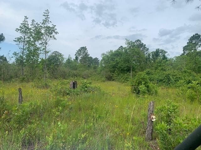 0 Holopaw Groves Road, St. Cloud, FL 34772 — photo 1 of 4