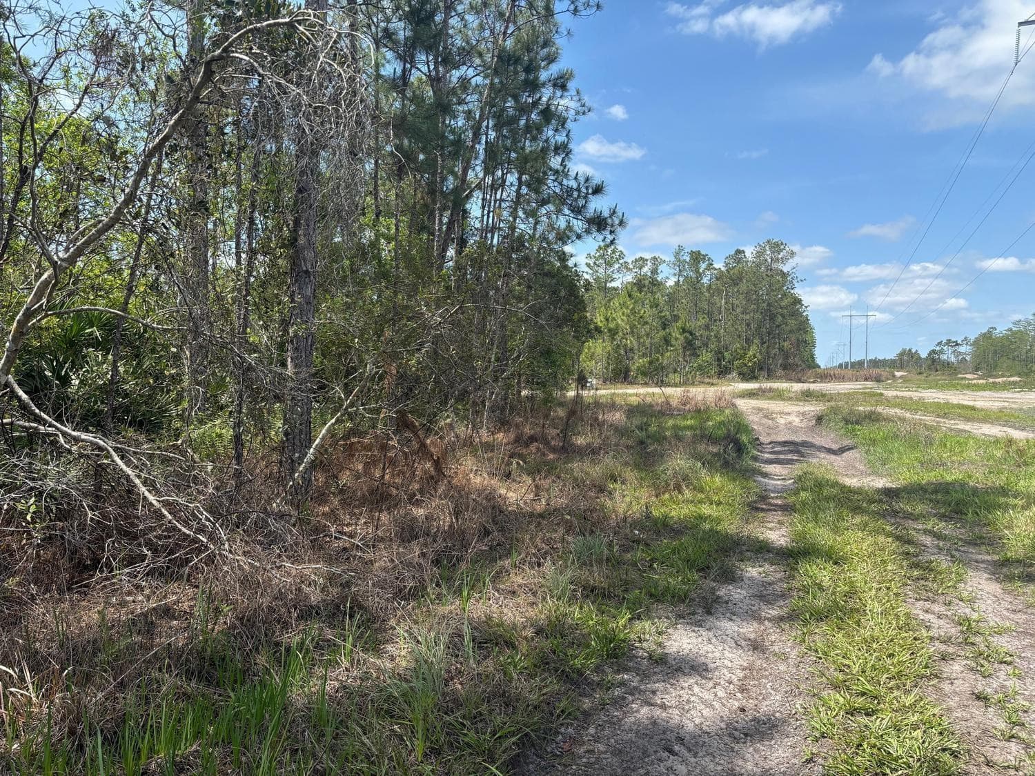 0 Holopaw Groves Road, St. Cloud, FL 34772 — photo 1 of 3