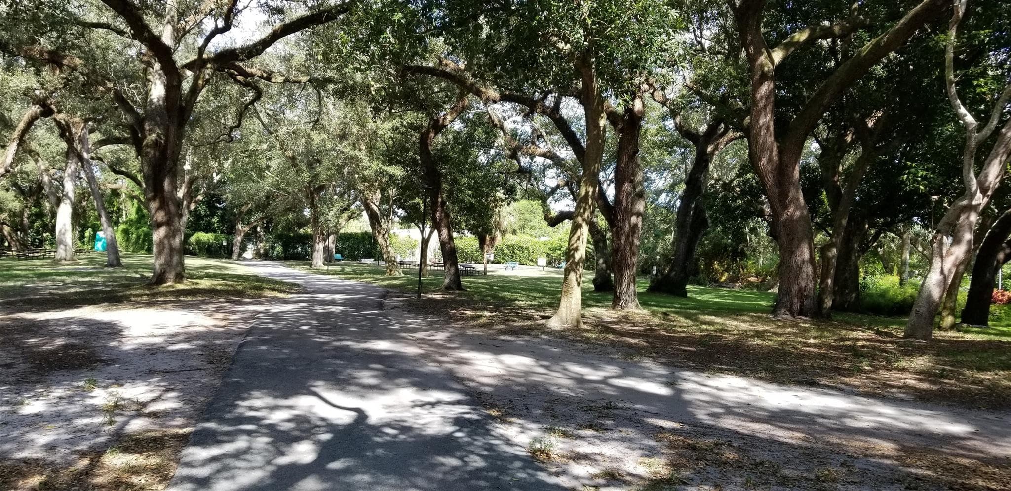 9531 Seagrape Drive 205, Davie, FL 33324 — photo 57 of 93