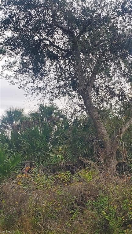 315 Ivanhoe Avenue, LaBelle, FL 33935 — photo 1 of 1