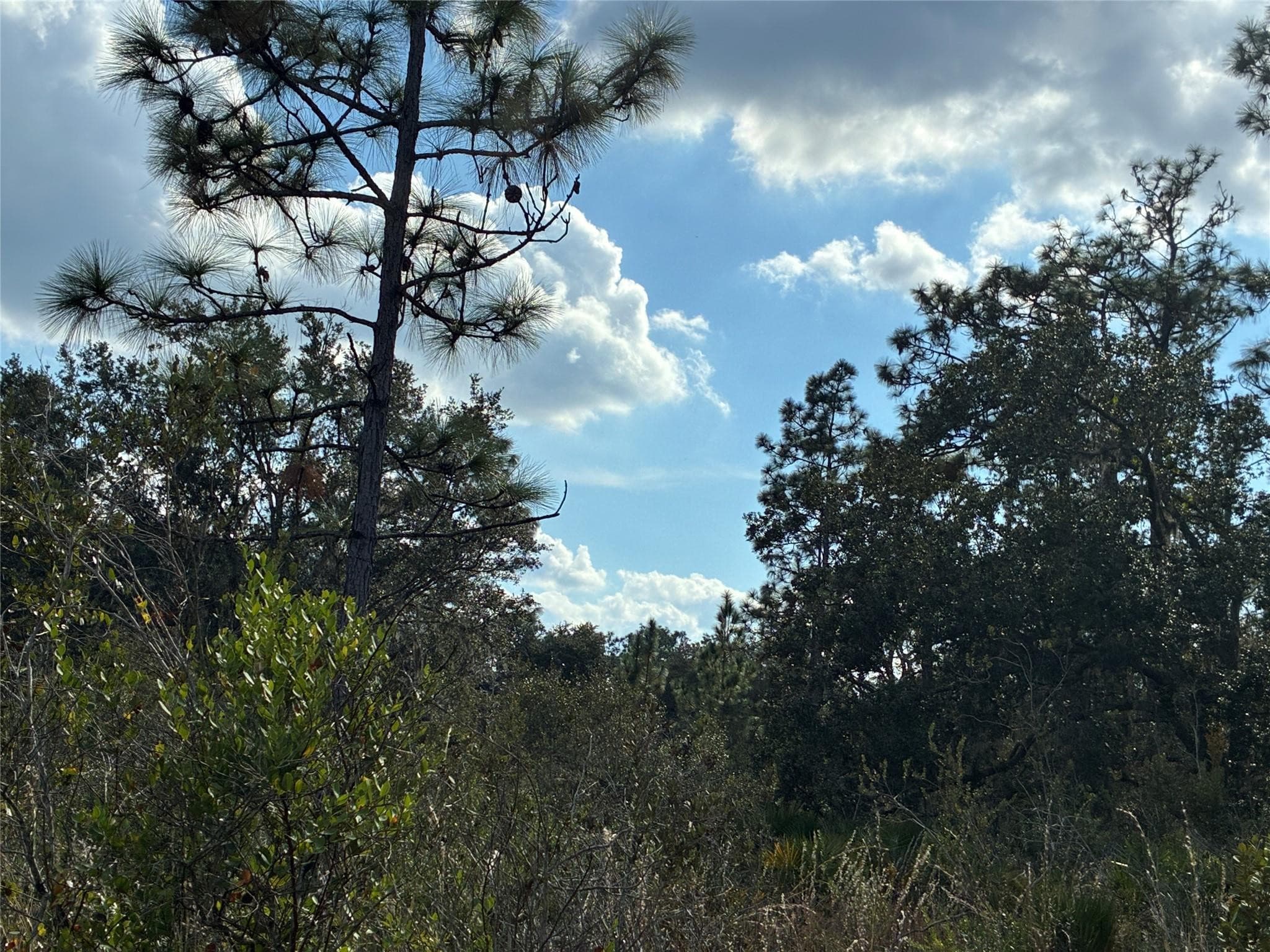 Lot 21 & 22 Plumosa Drive, Indian Lake Estates, FL — photo 2 of 3