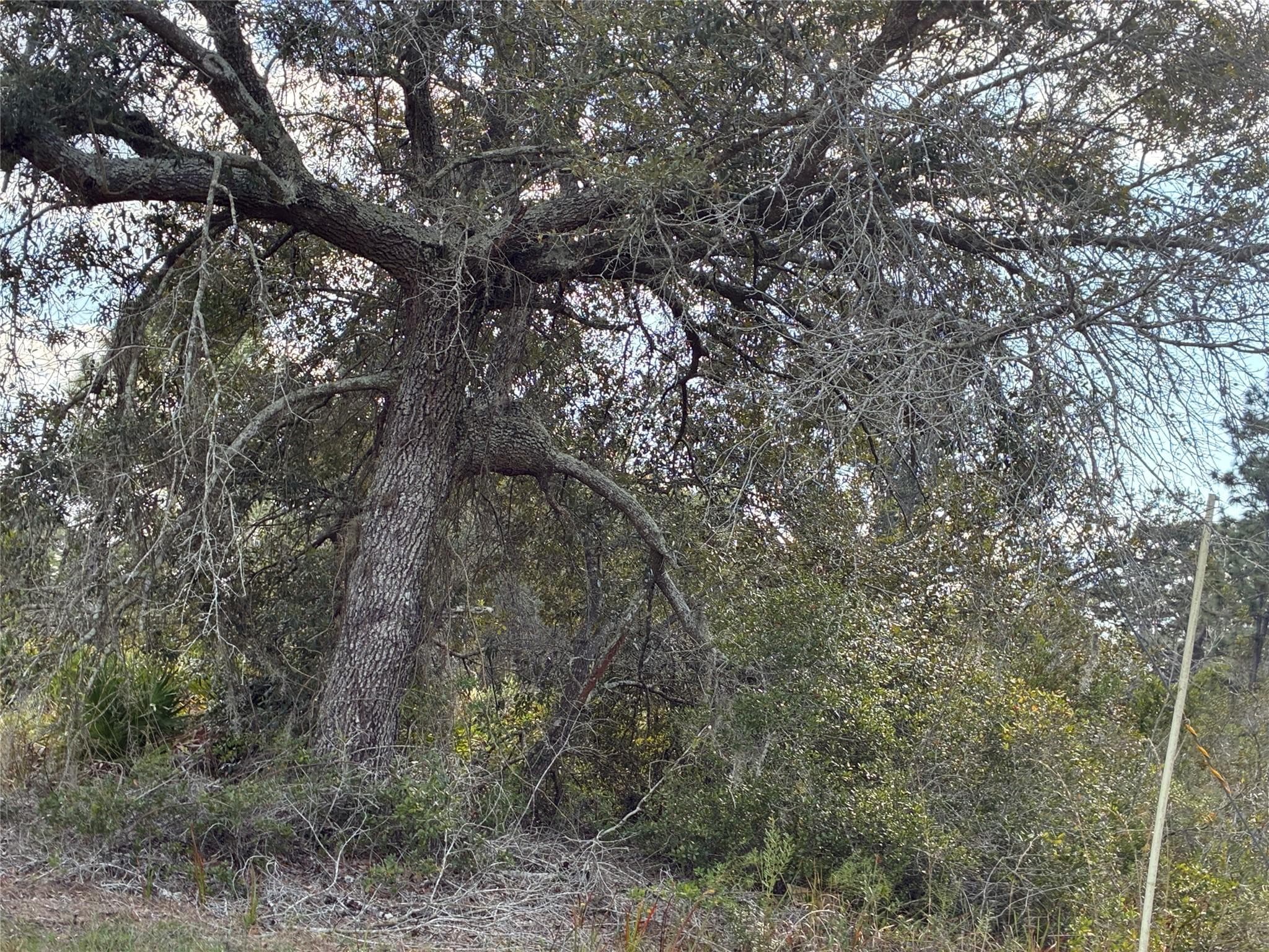 Lot 21 & 22 Plumosa Drive, Indian Lake Estates, FL — photo 3 of 3
