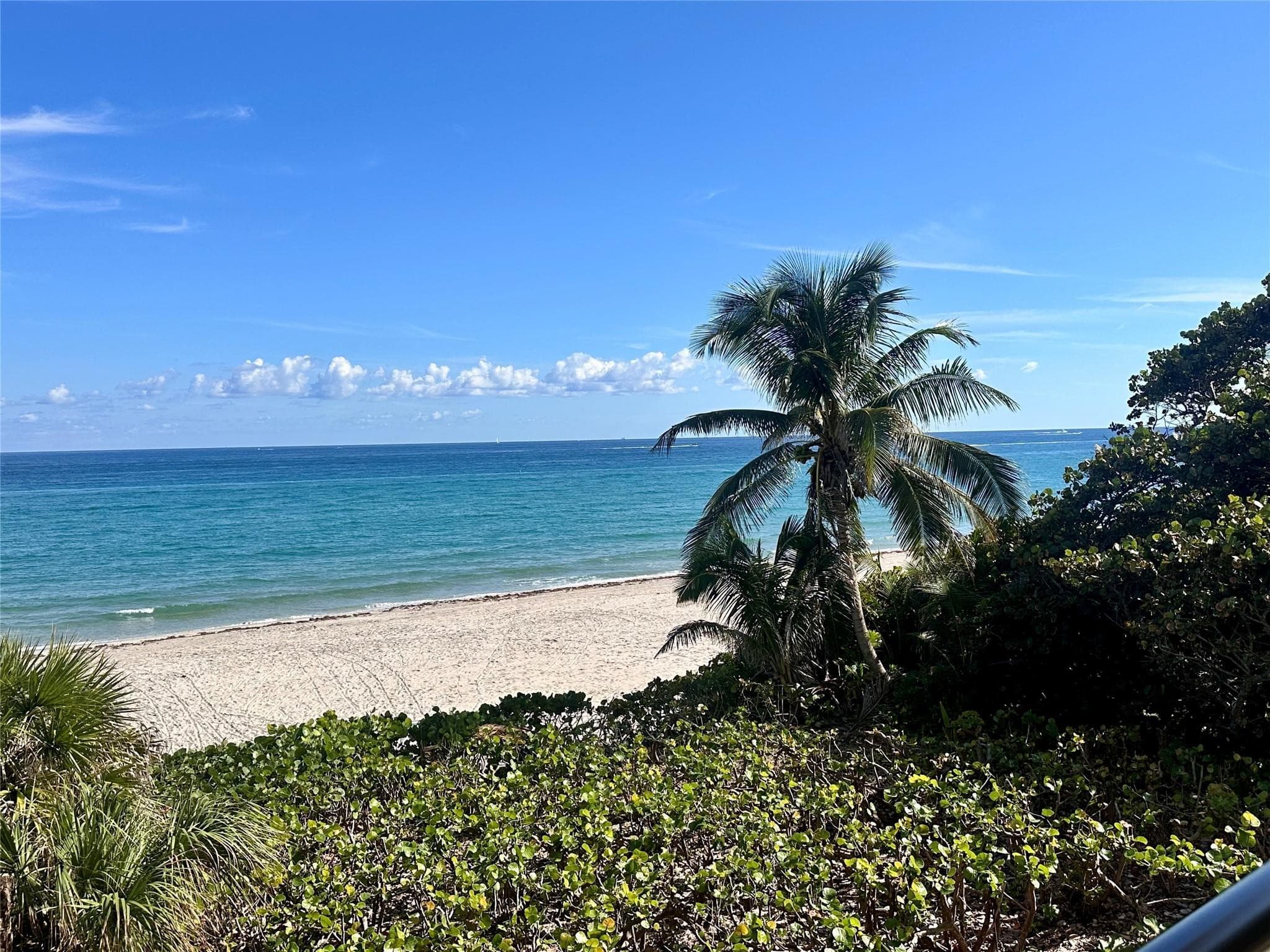 1147 Hillsboro Mile 214, Hillsboro Beach, FL 33062 — photo 39 of 43
