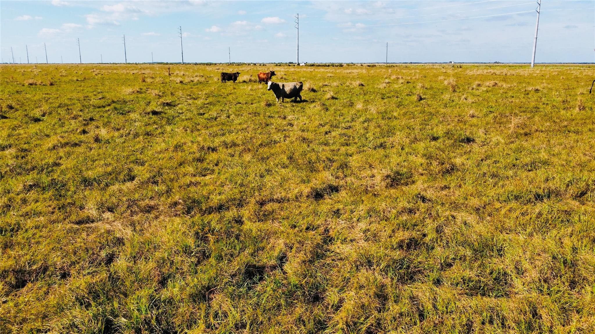Us-441, Okeechobee, FL — photo 13 of 44