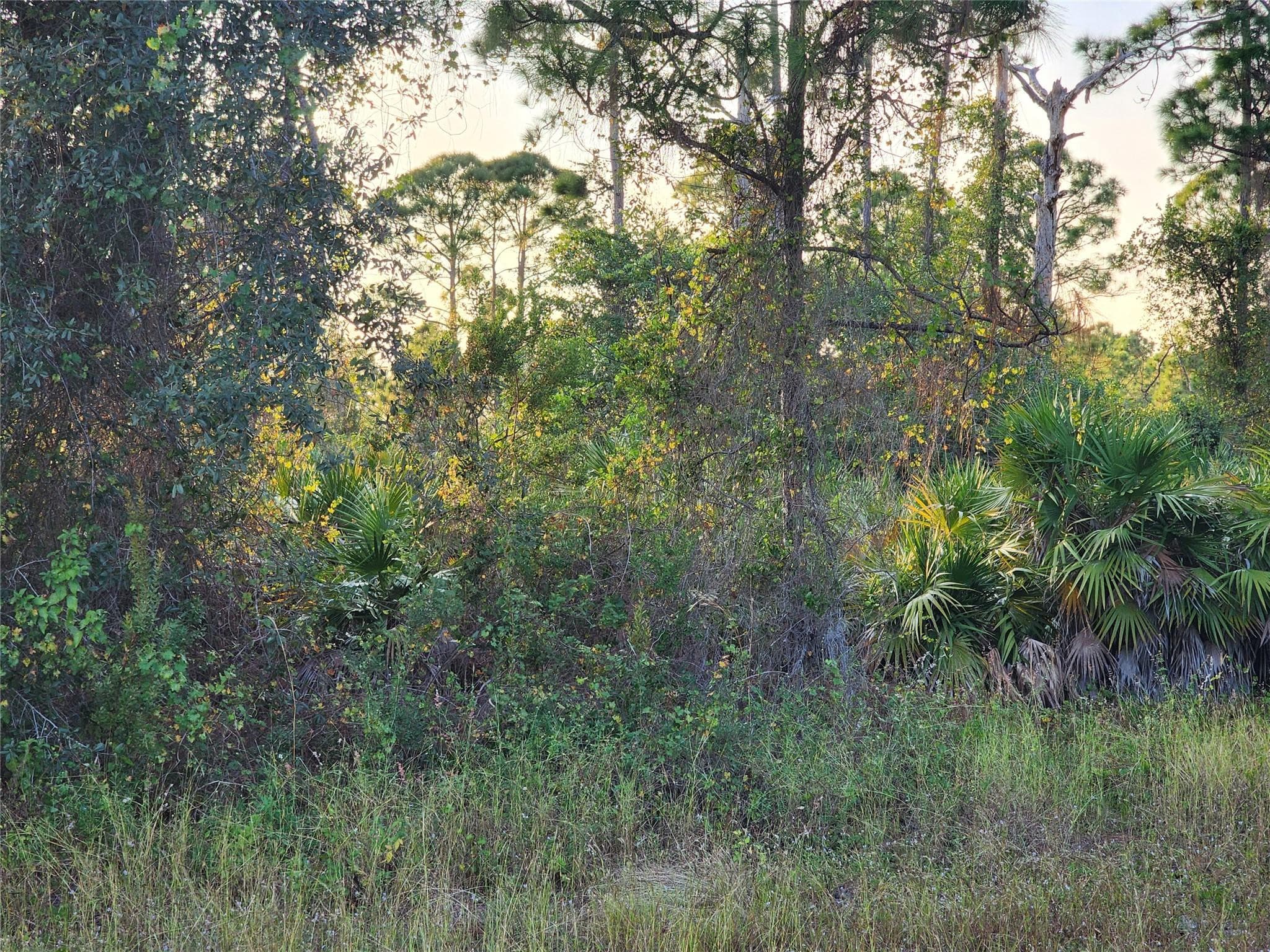 842 Genoa Avenue, Lehigh Acres, FL 33974 — photo 1 of 16