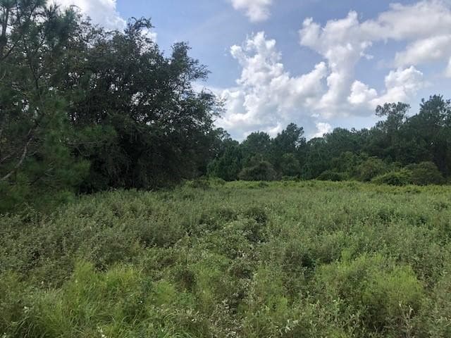 0 Old Grade Road, FL 33868 — photo 1 of 3