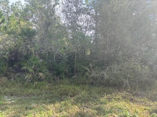 0 Old Grade Road, FL 33868 — photo 2 of 3