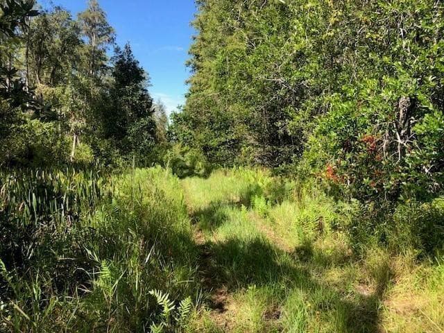 0 Old Grade Road, FL 33868 — photo 1 of 3