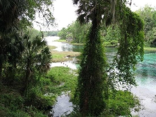 lot1 SW Lot1 158th Court, Ocala, FL 34481 — photo 6 of 7