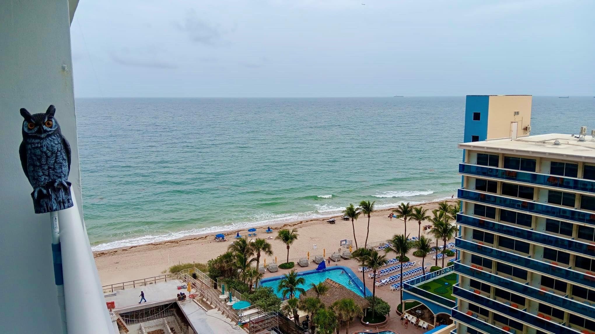 4100 Galt Ocean Drive 1106, Fort Lauderdale, FL 33308 — photo 15 of 34