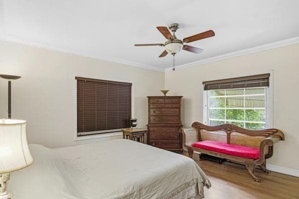 54 NE 103rd Street, Miami Shores, FL 33138 — photo 8 of 40