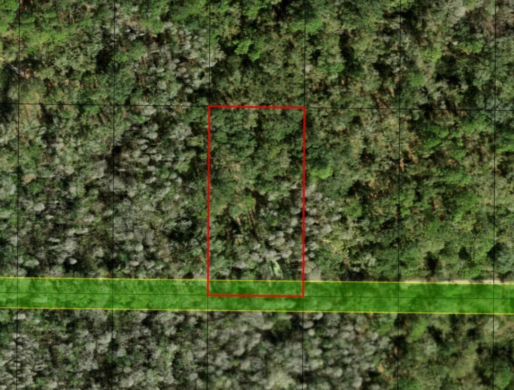 0 County Rd 54, Kathleen, FL 33849 — photo