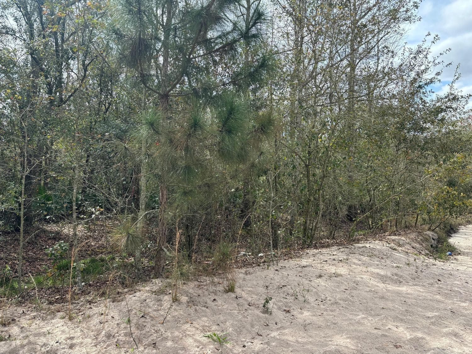 0 County Rd 54, Kathleen, FL 33849 — photo 2 of 3