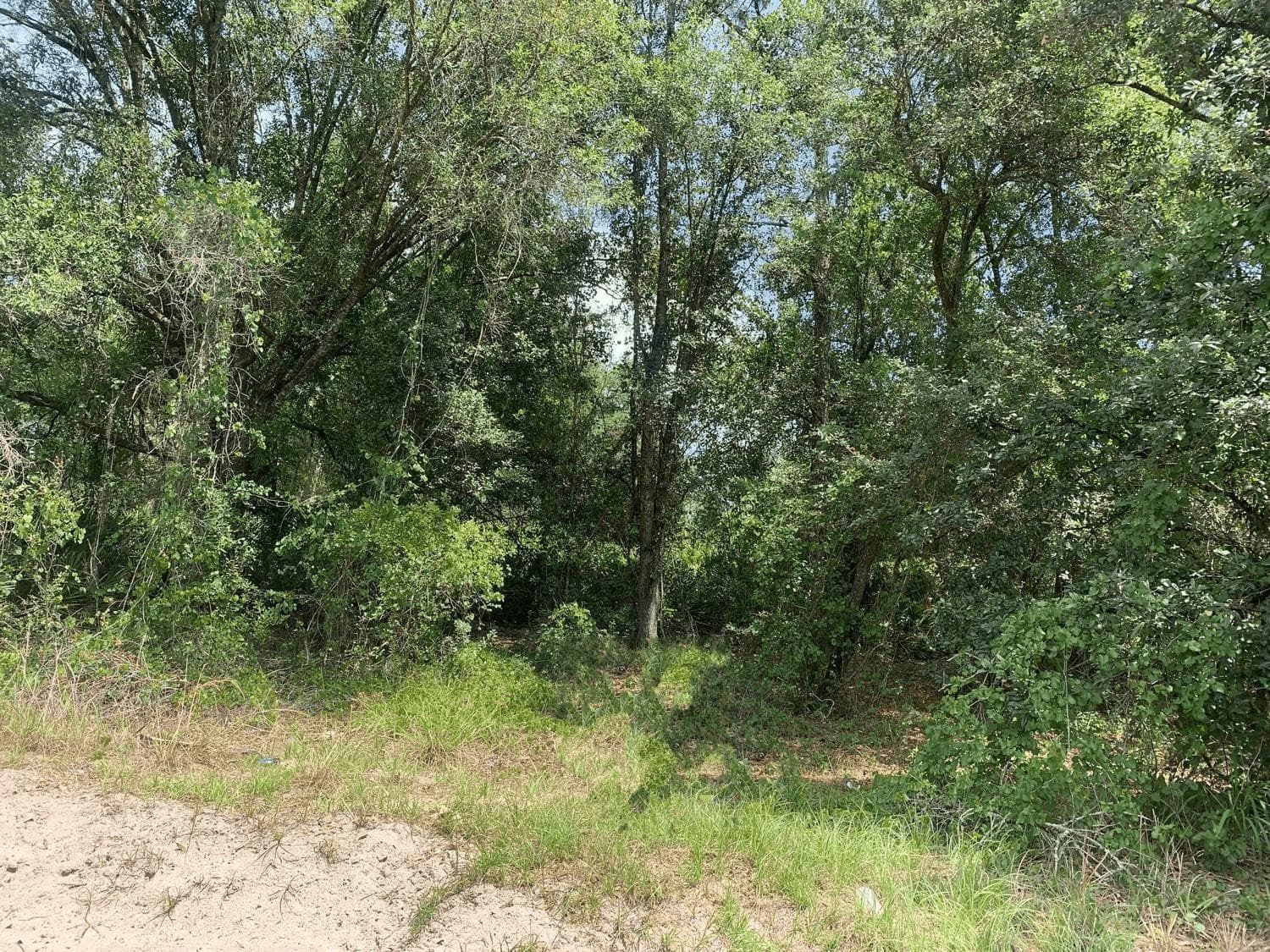 0 County Rd 54, Kathleen, FL 33849 — photo