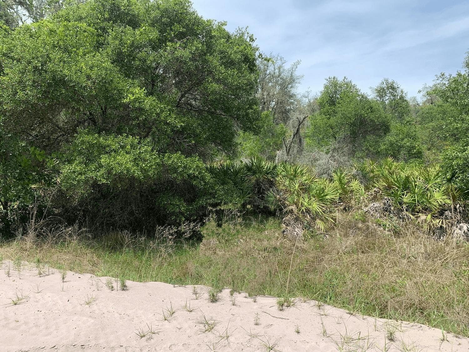 0 County Rd 54, Kathleen, FL 33849 — photo