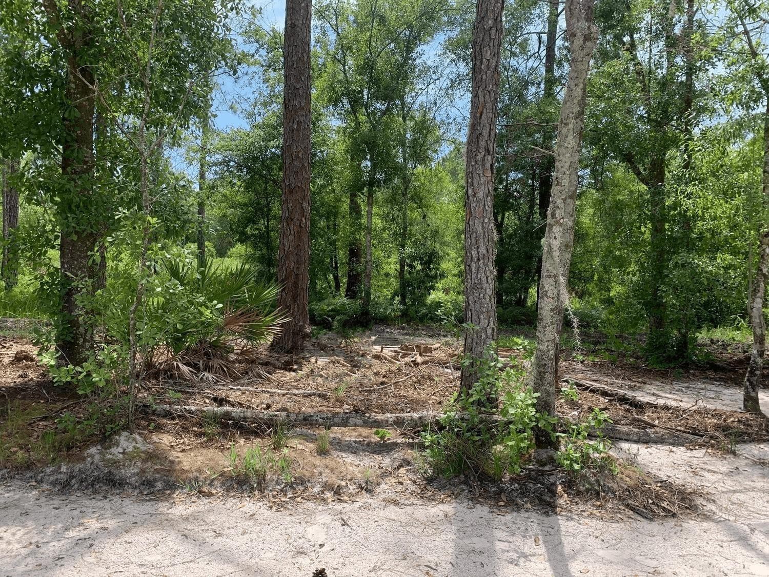 0 County Rd 54, Kathleen, FL 33849 — photo 1 of 2