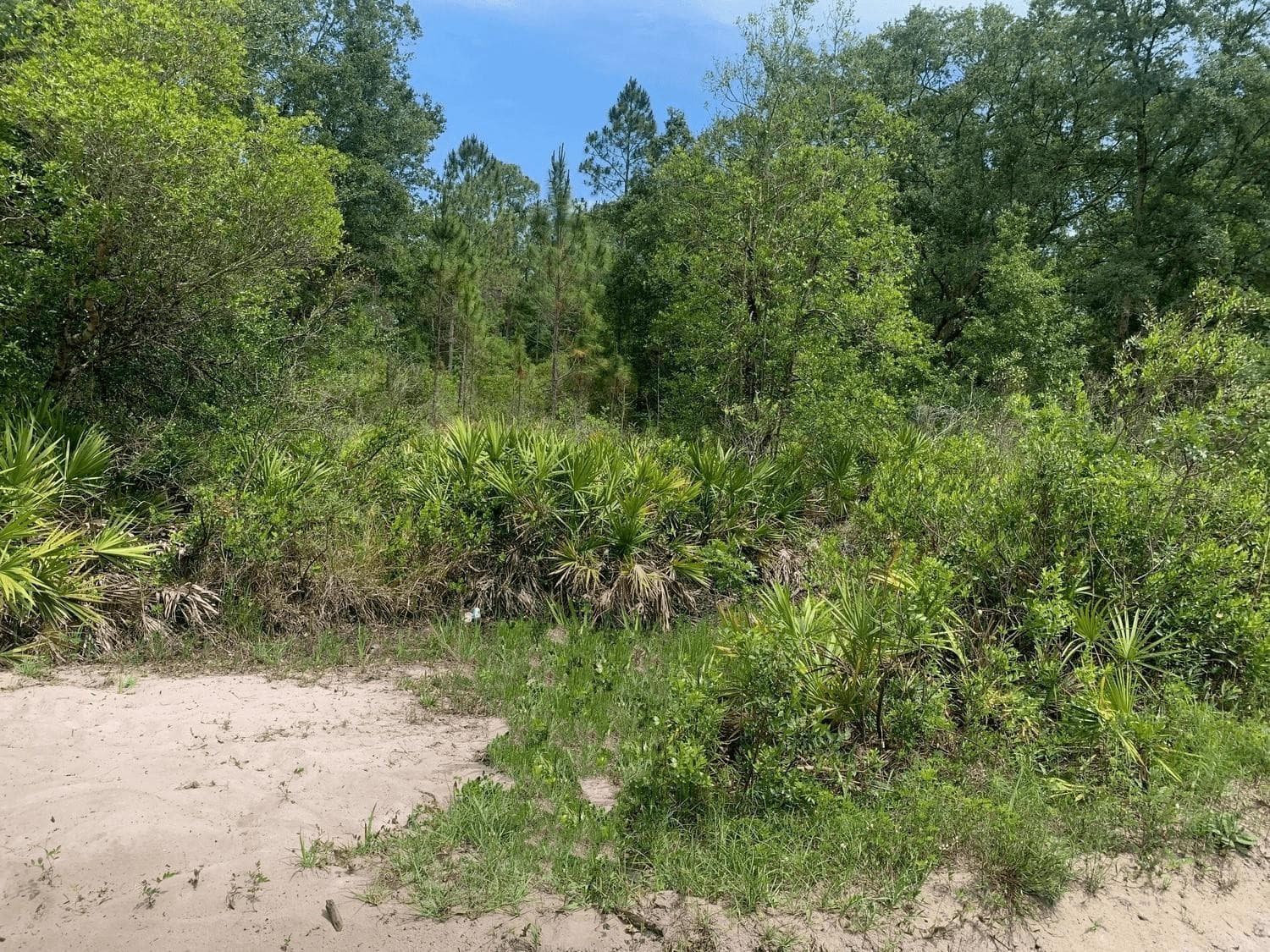0 County Rd 54, Kathleen, FL 33849 — photo