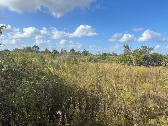 15463 NW 256th Street, Okeechobee, FL 34972 — photo 2 of 3