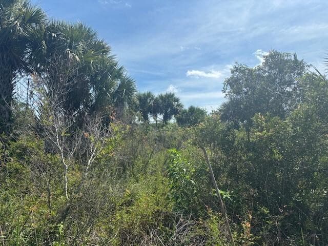 0 NW 310th Street, Okeechobee, FL 34972 — photo 1 of 2