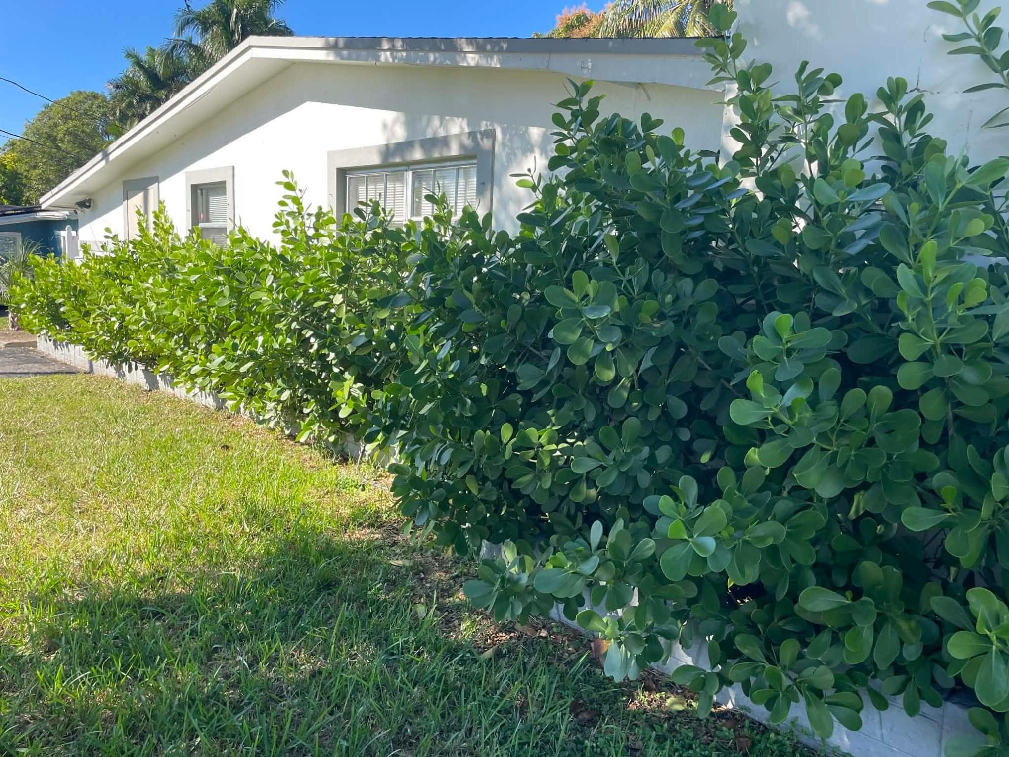 4421 NW 34th Court, Lauderdale Lakes, FL 33319 — photo 1 of 23