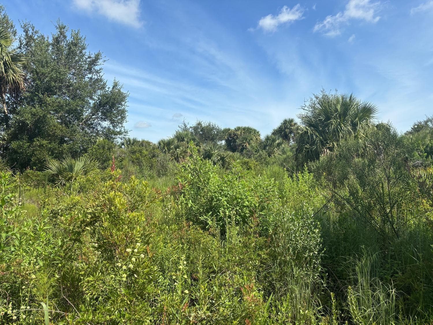 0 NW 312th Street, Okeechobee, FL 34972 — photo 1 of 2