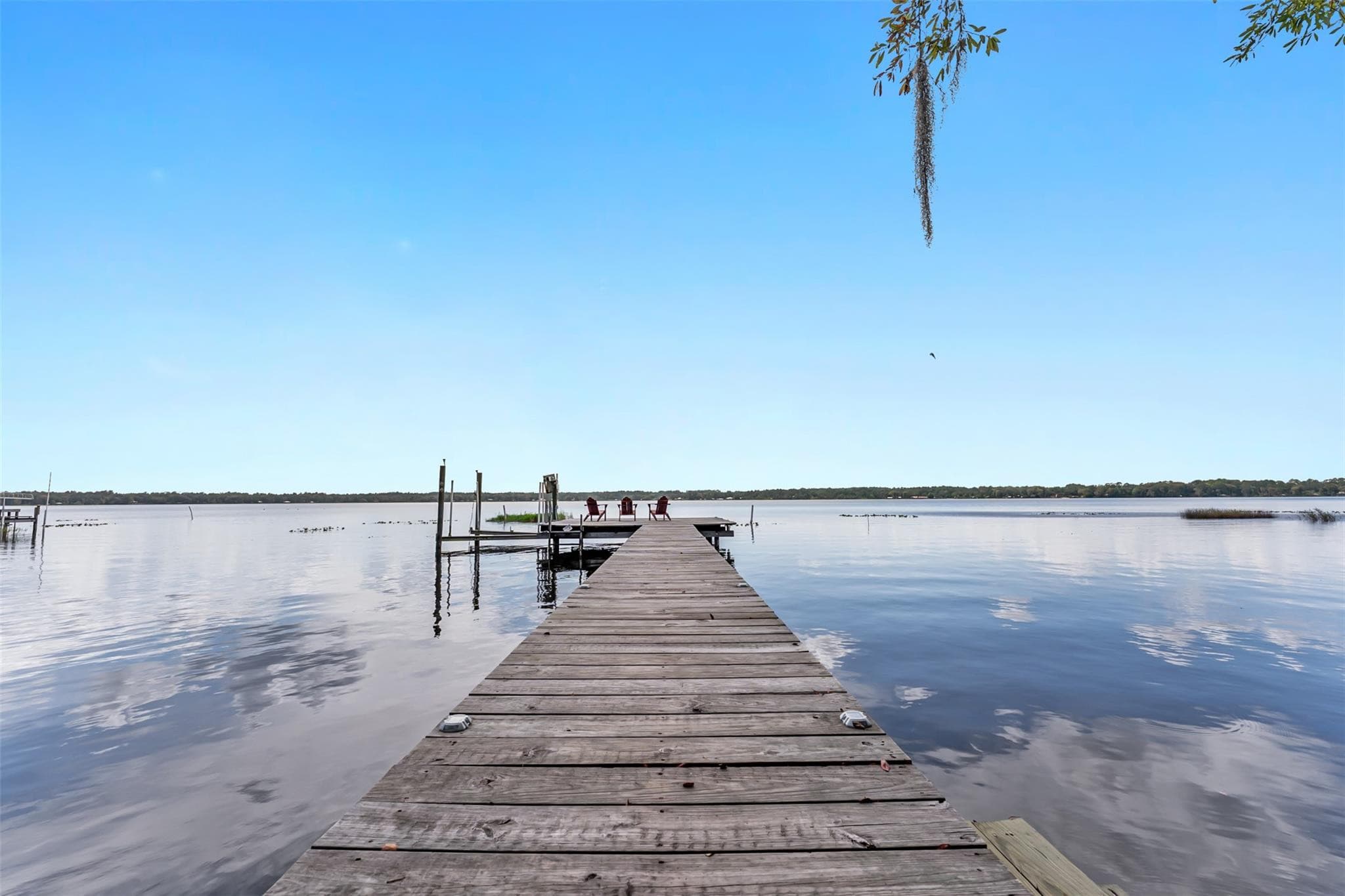 115 Flora Terrace, Florahome, FL 32640 — photo