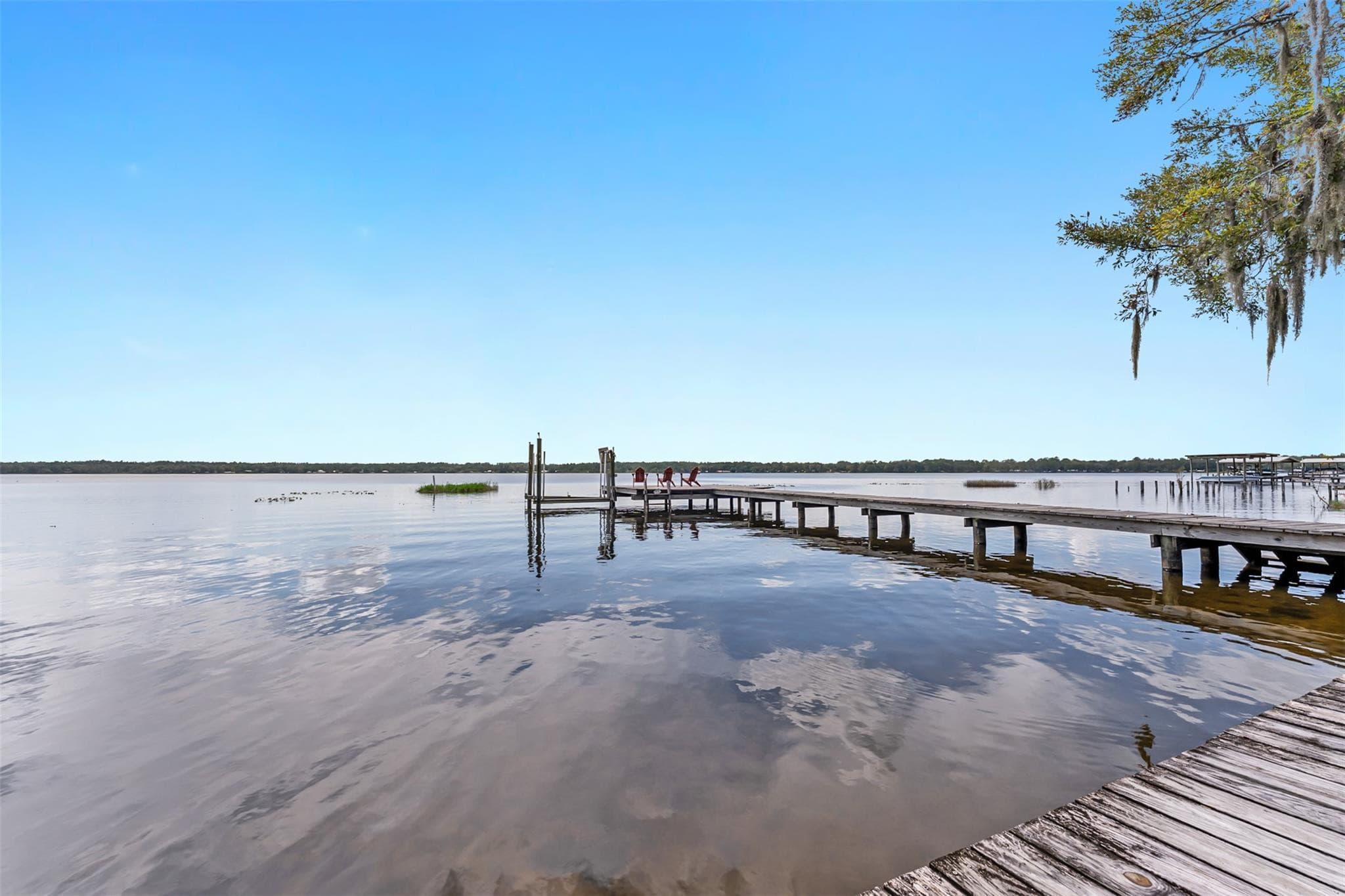 115 Flora Terrace, Florahome, FL 32640 — photo 48 of 60
