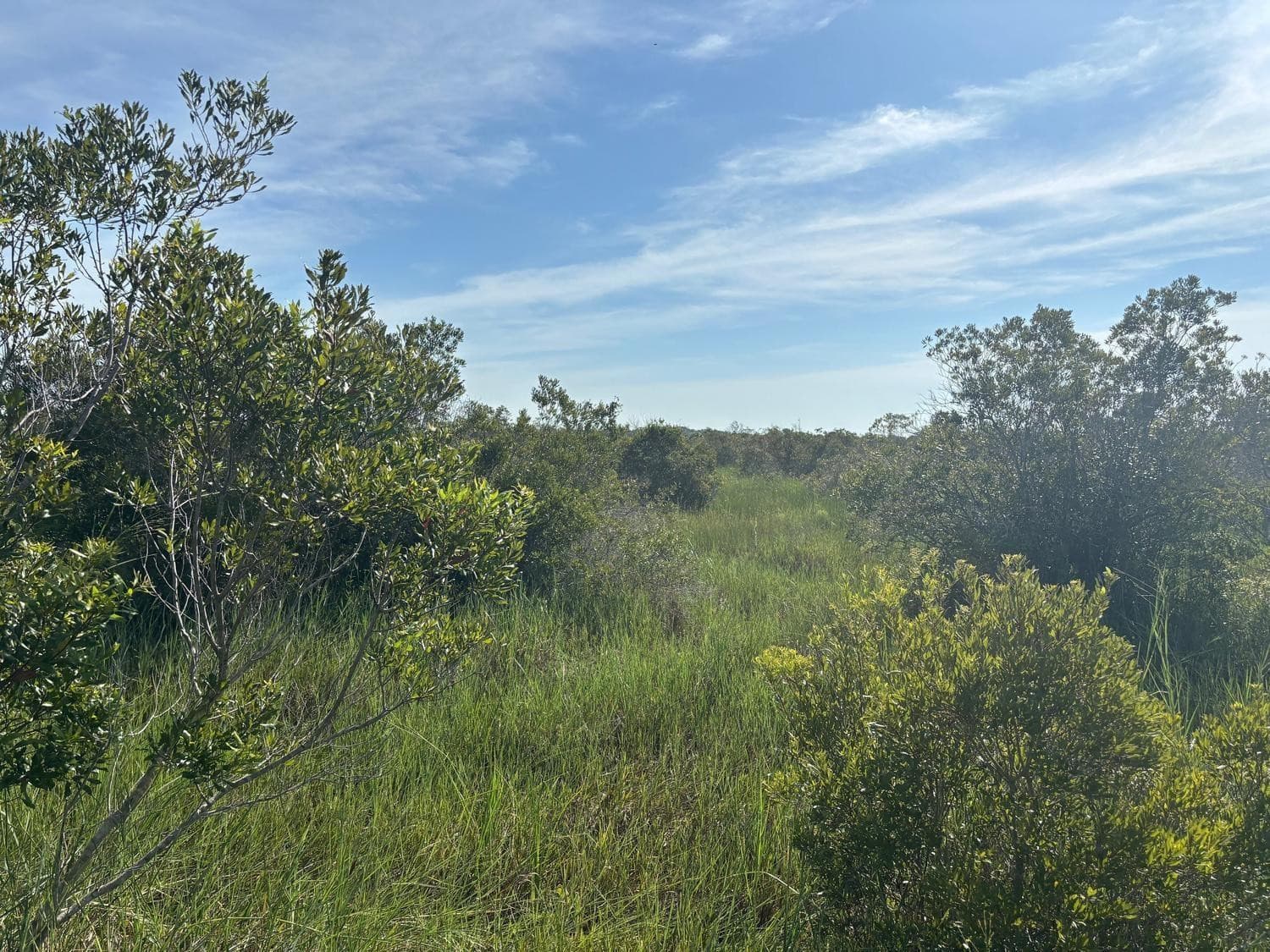 0 NW 308th Street, Okeechobee, FL 34972 — photo