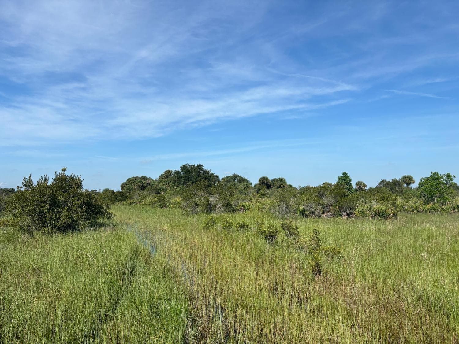 0 NW 308th Street, Okeechobee, FL 34972 — photo 1 of 2