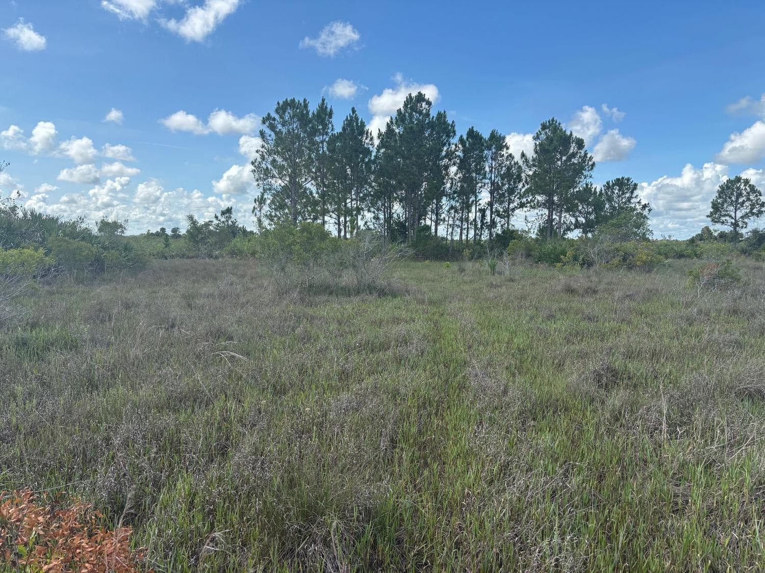 0 290th Street, Okeechobee, FL 34972 — photo